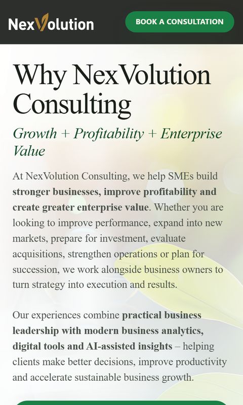 Consulting services website on mobile