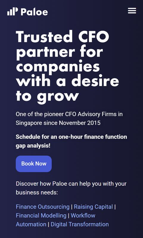 CFO and accounting services website on mobile